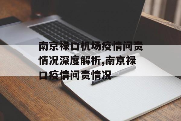 南京禄口机场疫情问责情况深度解析,南京禄口疫情问责情况