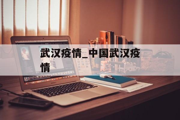 武汉疫情_中国武汉疫情