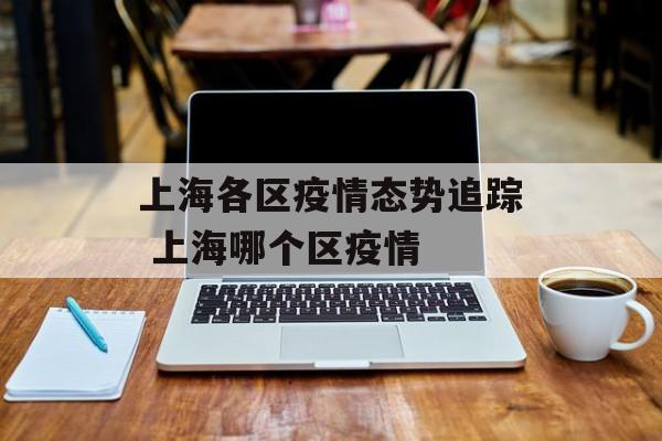 上海各区疫情态势追踪 上海哪个区疫情